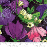 Sweet Pea Lilly Floral 48640-24 B297