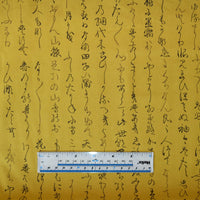 Japanese Ikoi 302012-12 B453